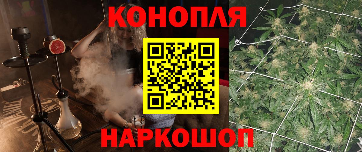 Конопля конопля  Бошки Шишки марихуана  Канабис планчик  Вход с VPN  Донецк 